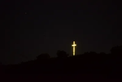 DSC_0738 (Large).JPG